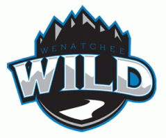 wenatchee wild 2008-pres secondary logo iron on transfers for clothing